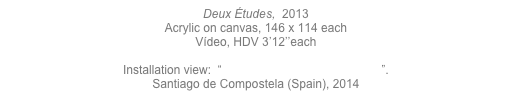 Deux Études,  2013&#10;Acrylic on canvas, 146 x 114 each&#10;Vídeo, HDV 3’12’’each&#10;&#10;Installation view:  “8º Premio Auditorio de Galicia”. &#10;Santiago de Compostela (Spain), 2014&#10;&#10;&#10;&#10;&#10;&#10;&#10;&#10;&#10;&#10;&#10;&#10;&#10;